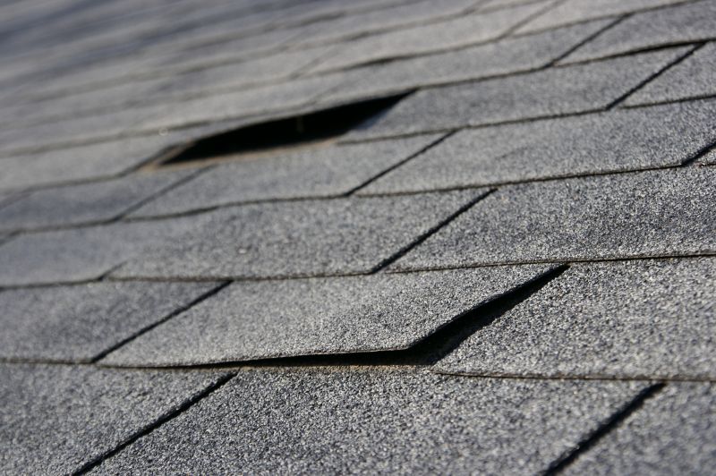 Extend the Life of Your Asphalt Roof